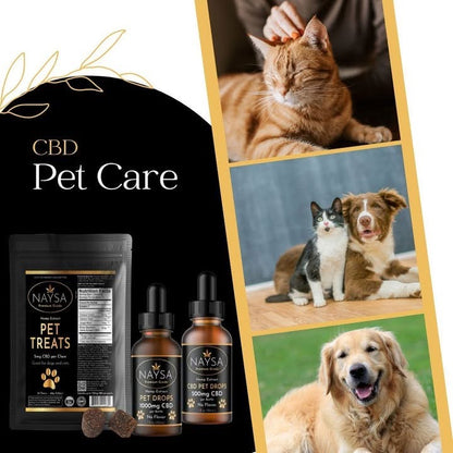 CBD Pet Treats